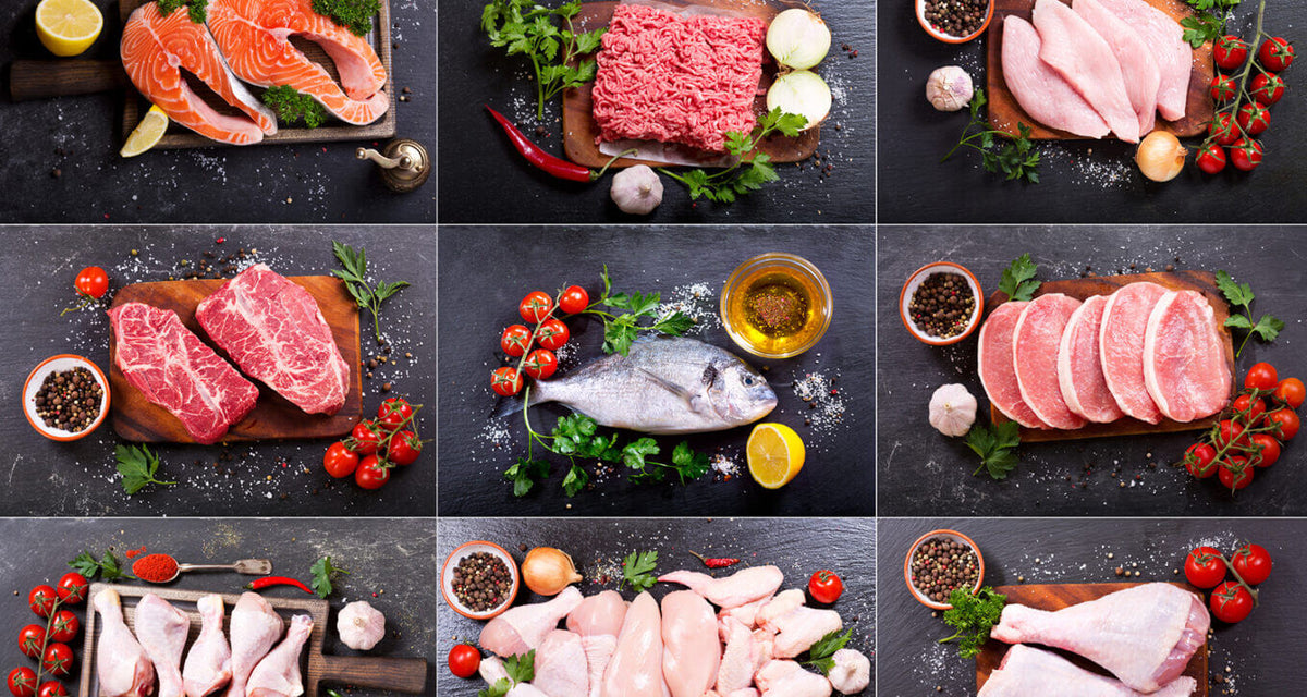 Why 🥩Animal-Based Nutrition is Important