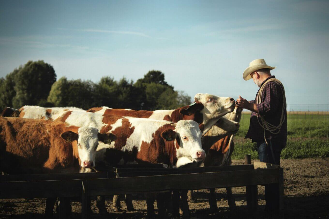 regenerative farming