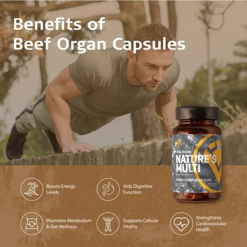 benefits of beef organ capsules