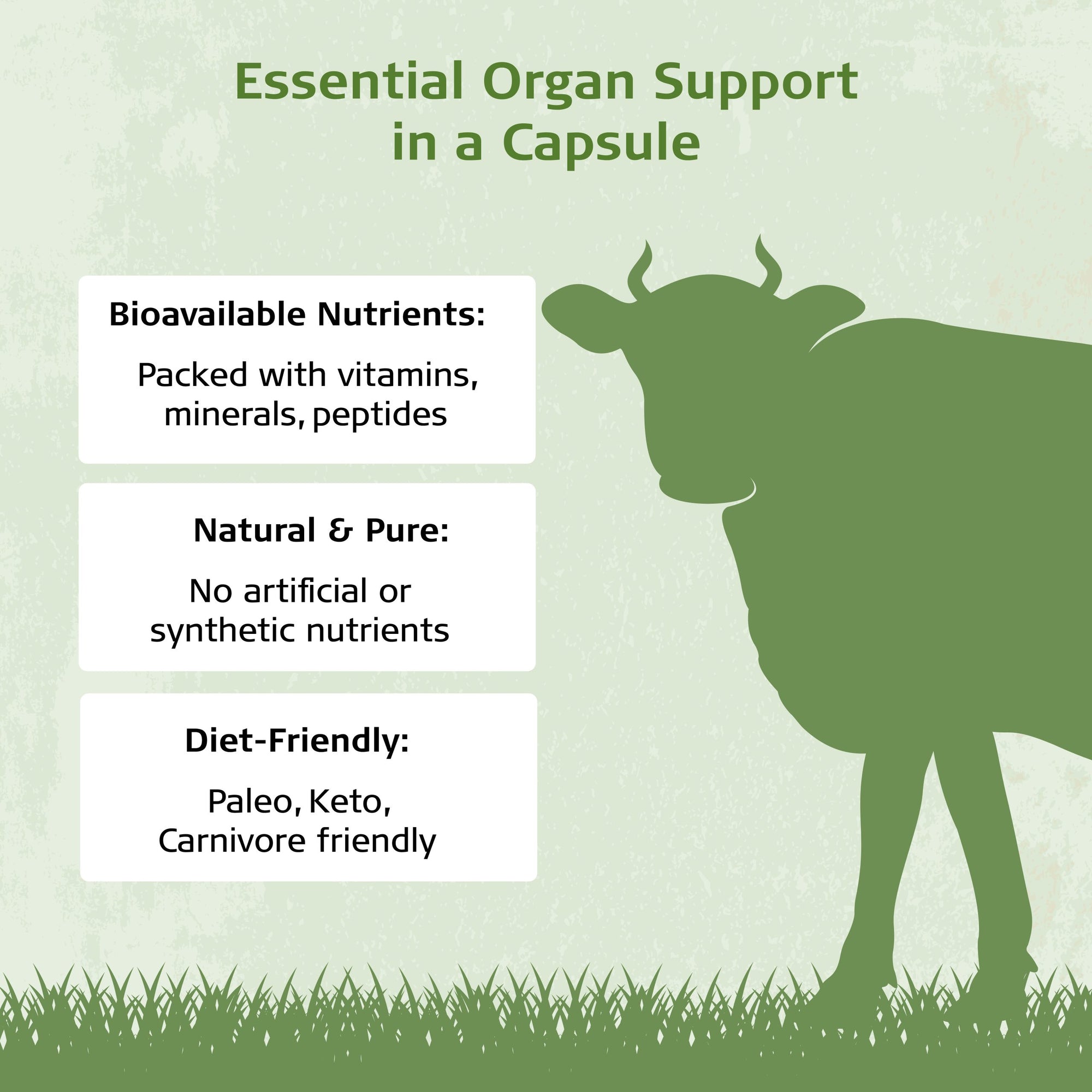 natural beef kidney nutrients