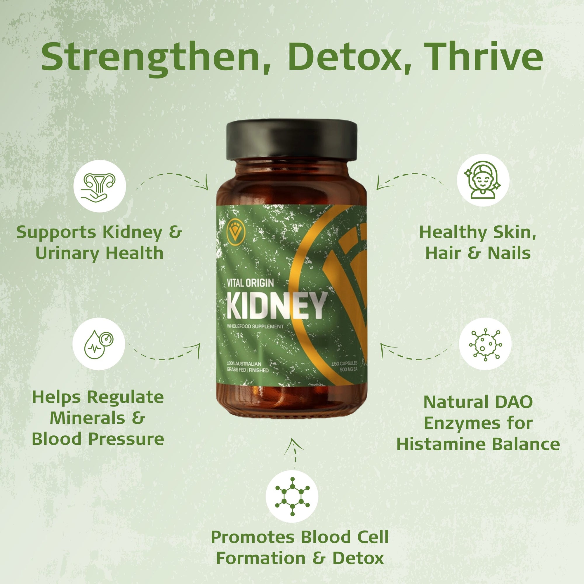 benefits of beef kidney