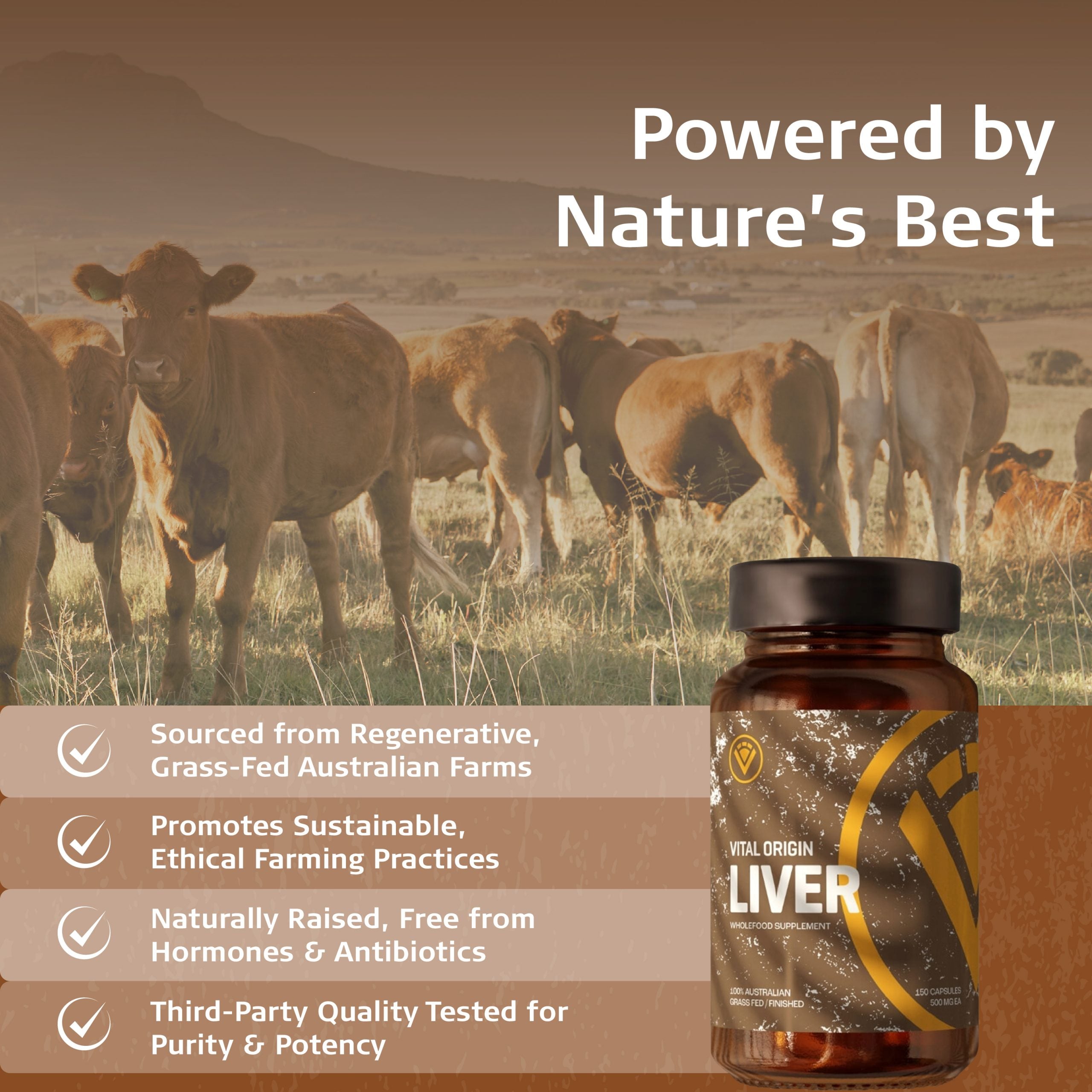 Grass-Fed Beef Liver Capsules